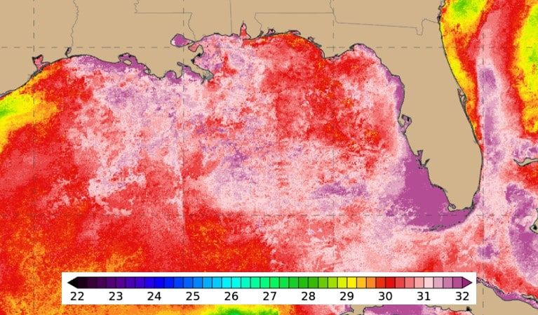 Florida ocean temperatures at ‘downright shocking’ levels