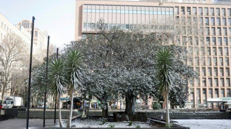 Afrique du Sud: rares chutes de neige à Johannesburg et dans certaines régions