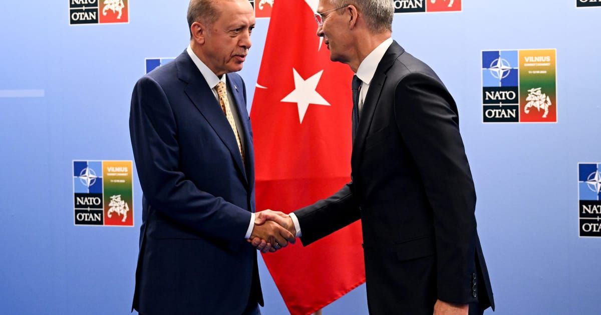 Turkey agrees to back Sweden’s NATO membership bid