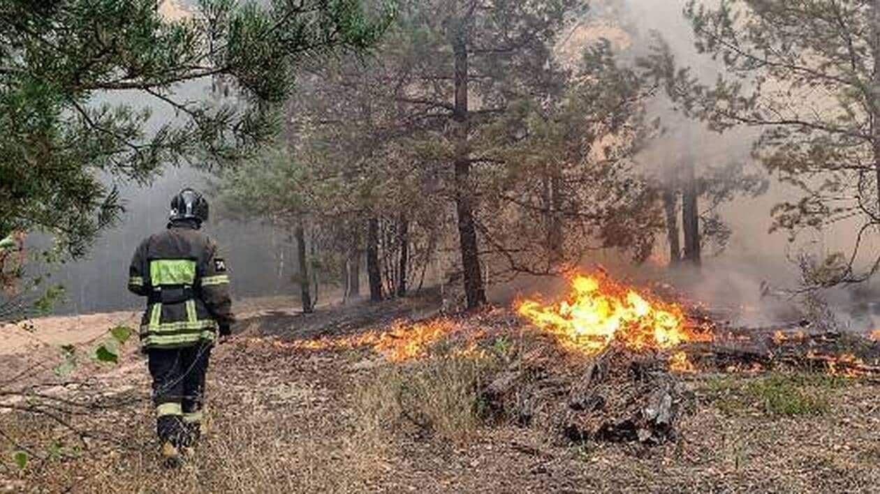 Incendies en Russie : plus d’un million d’hectares de forêts en feu