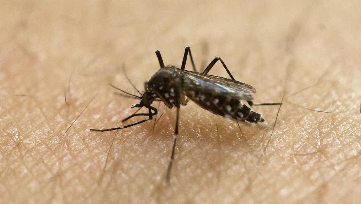 3 more human cases of West Nile virus confirmed in Mass.