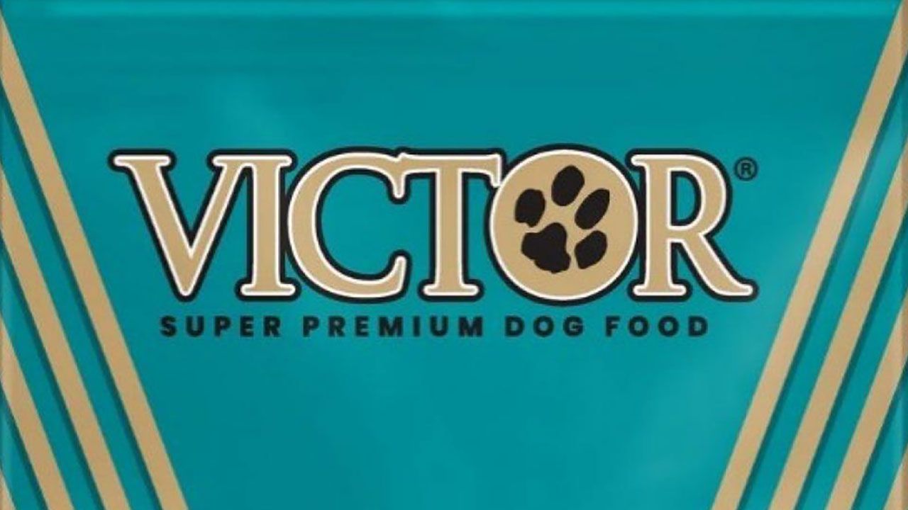 Pet foods recalled after infants sickened by salmonella