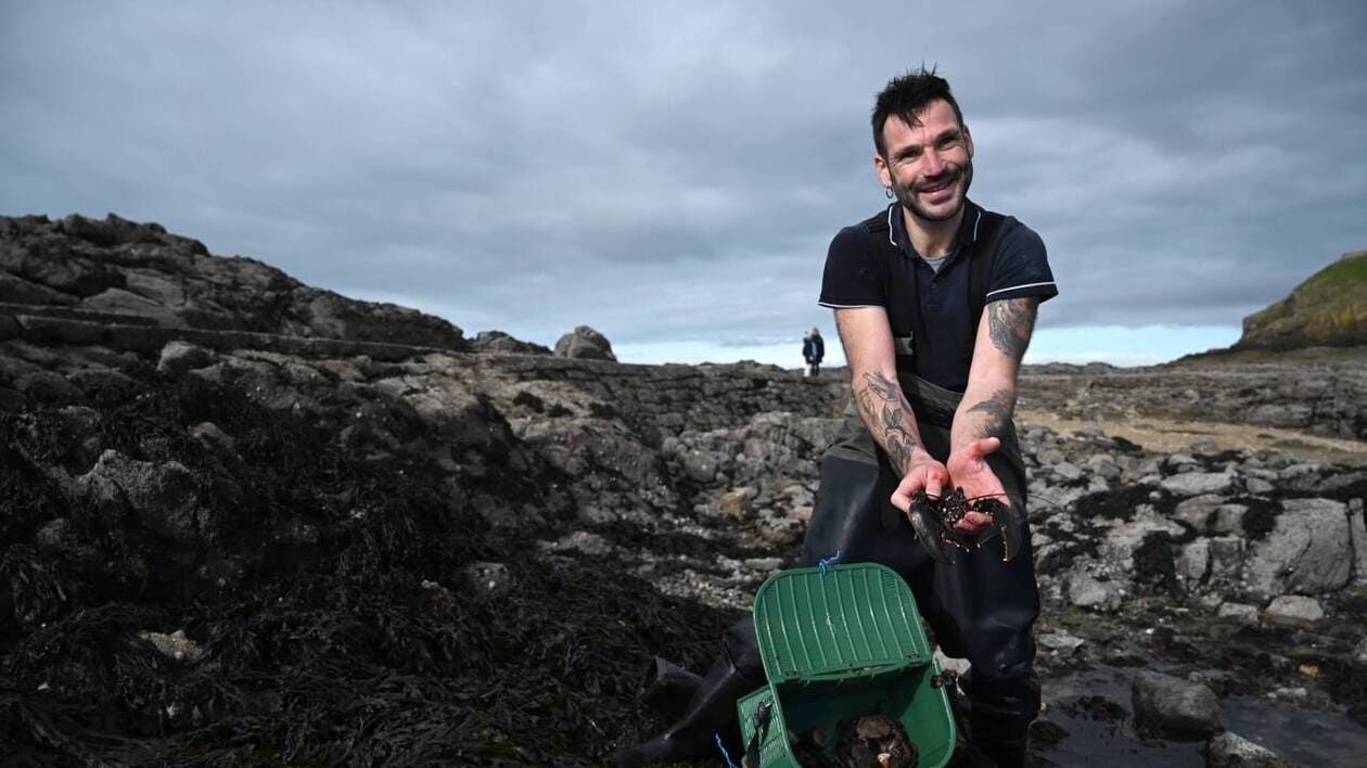 REPORTAGE. " Regardez, c’est le paradis ! " À Saint-Malo, grandes marées riment avec pêche à pied