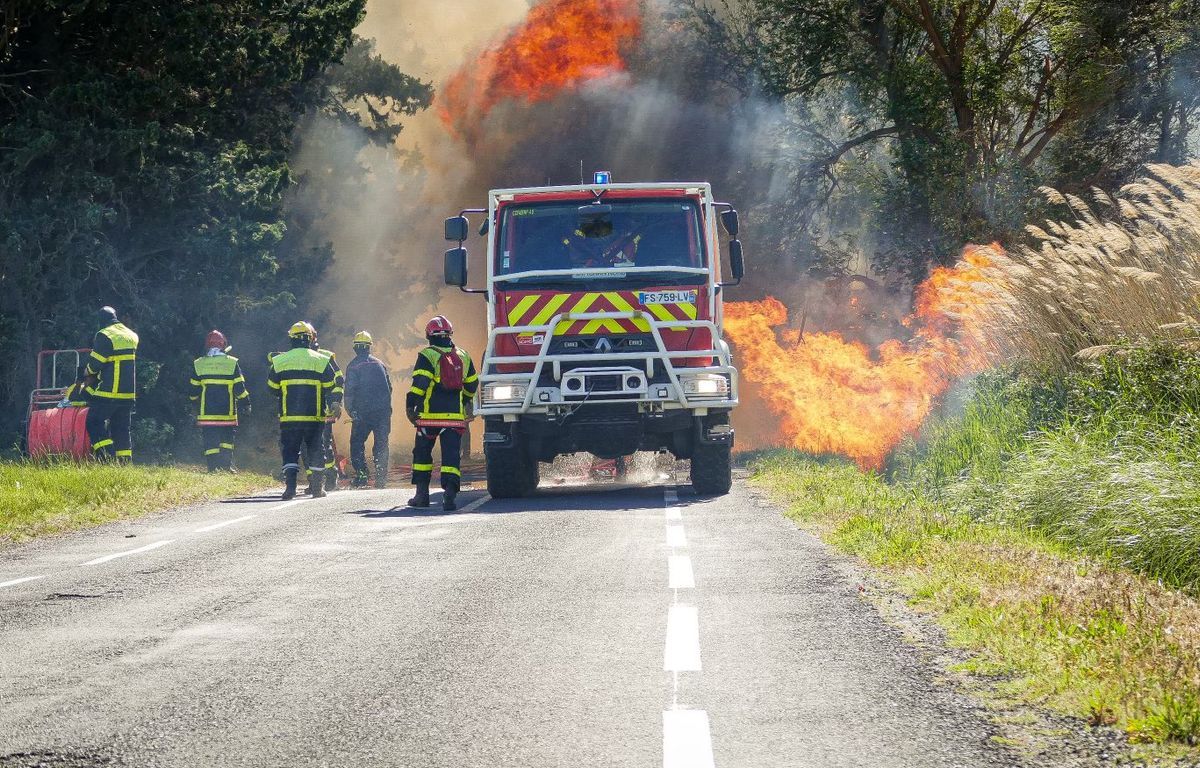 Pyrénées-Orientales : Un camping évacué après un nouvel incendie