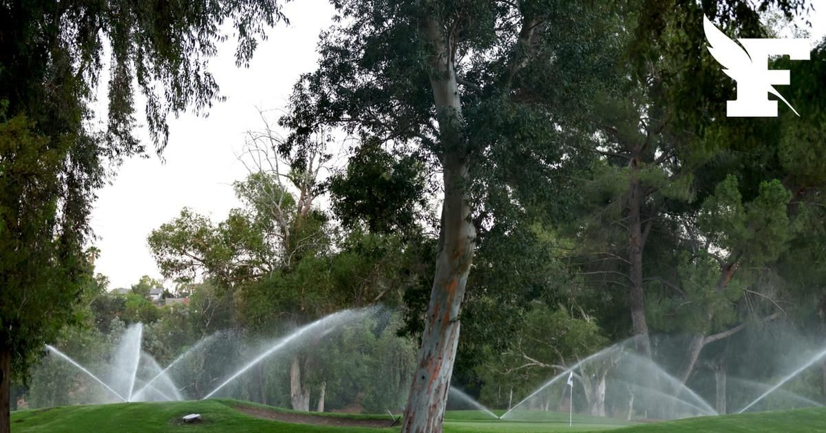 Sécheresse : près de Cannes, des propriétaires consommeraient jusqu'à "2000 mètres cubes d'eau par semaine"