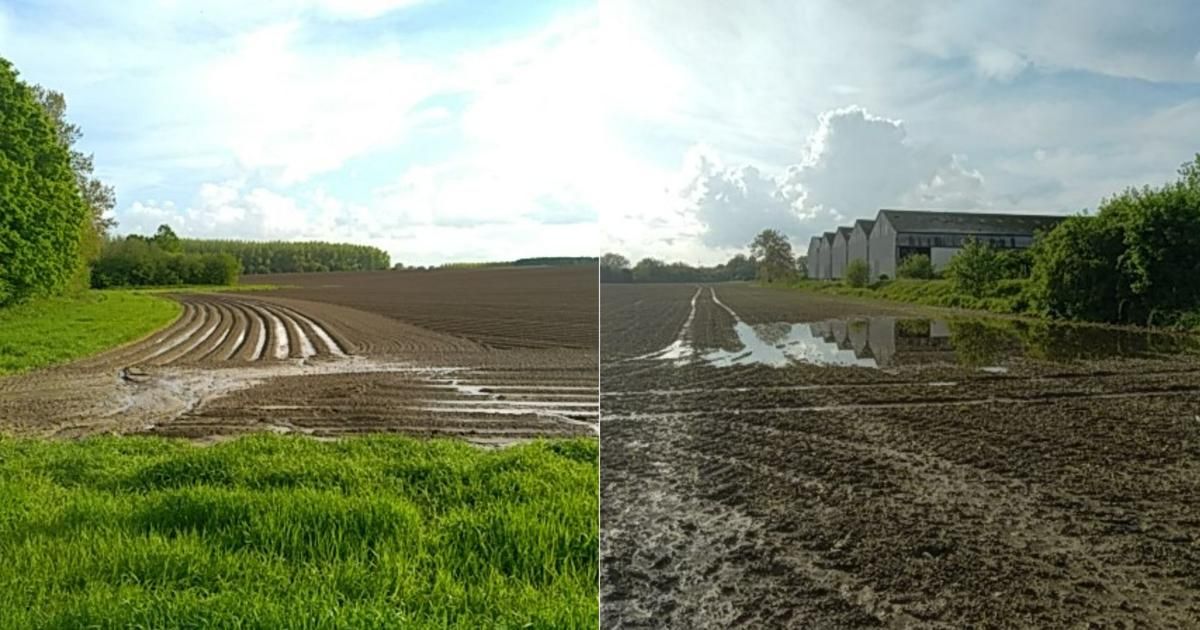 Au Nord, cette pluie de printemps qui inquiète les agriculteurs