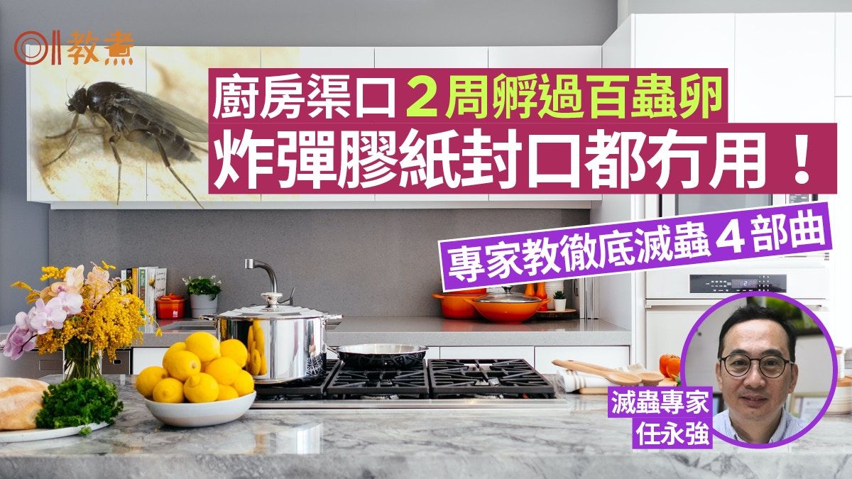 廚房滅蟲｜渠口惹大量蚊滋入屋！炸彈膠紙封口無效專家教4招滅蟲