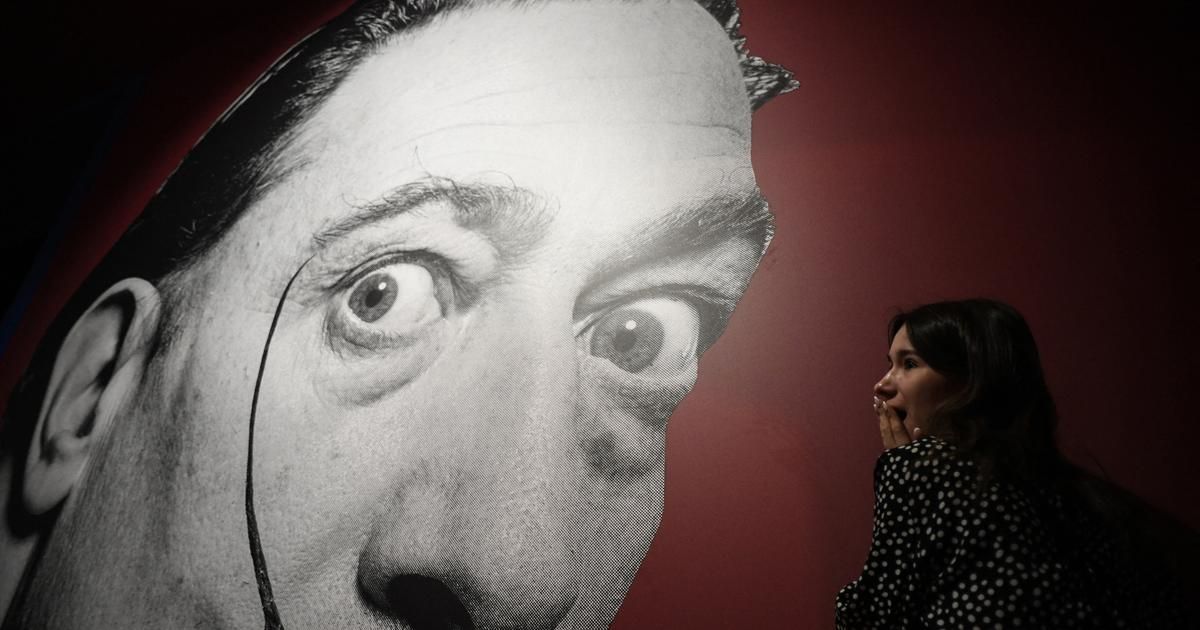 Sur TikTok, la génération Z s'offusque du "fascisme" de Salvador Dali