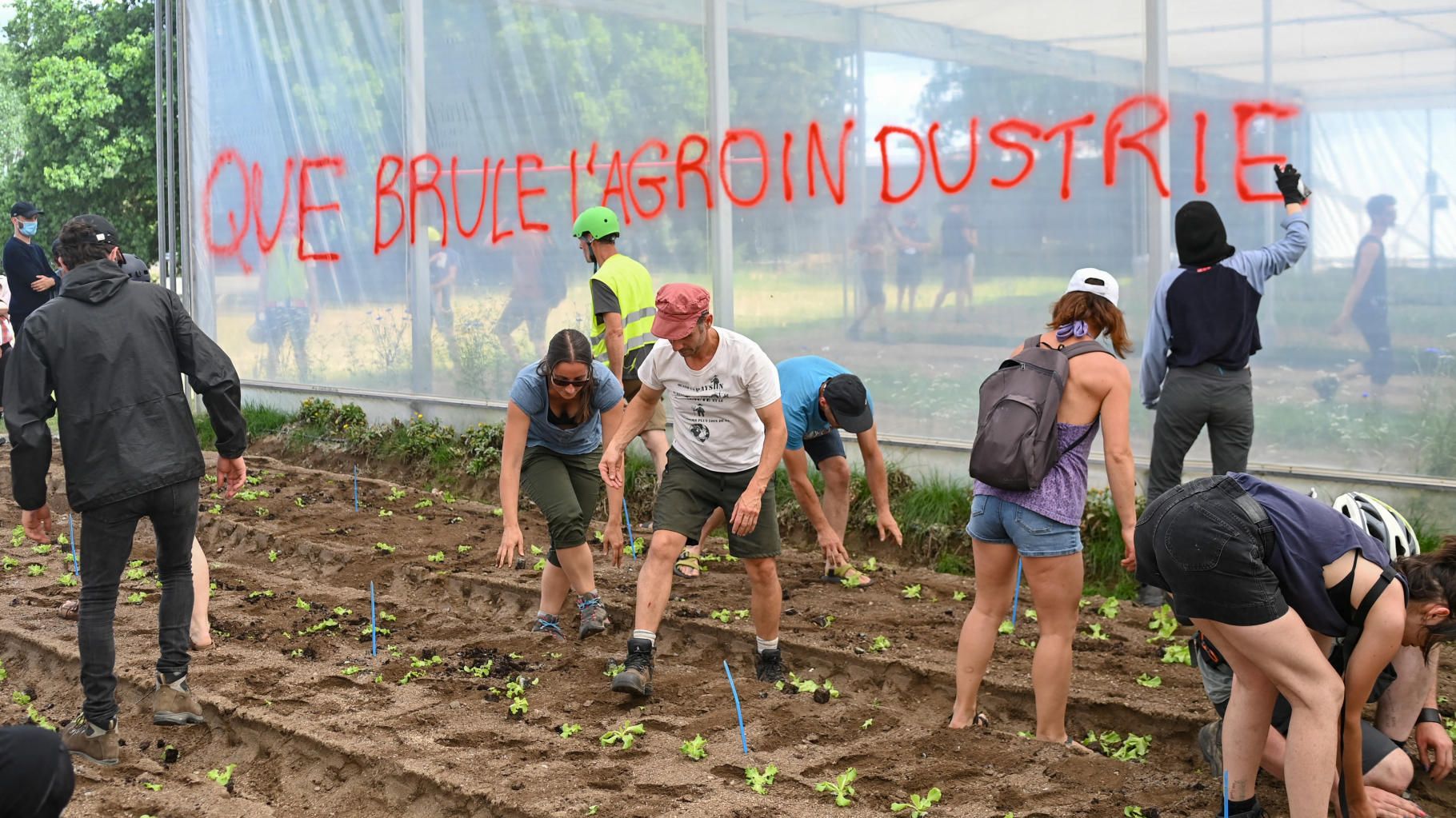 En Loire-Atlantique, cette opération des Soulèvements de la Terre passe mal