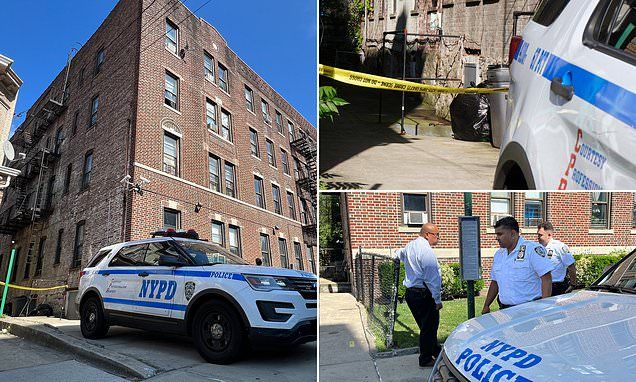 Boy dies after falling out fourth floor apartment in New York City as neighbors rushed to the scene