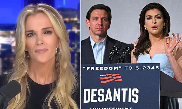 Megyn Kelly defends Casey DeSantis after critics called her 'America's Karen'