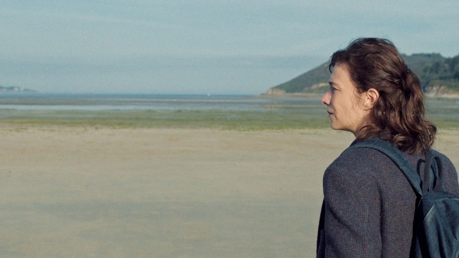 Pierre Jolivet se prend les pieds dans "Les Algues vertes", fléau qui frappe les plages bretonnes