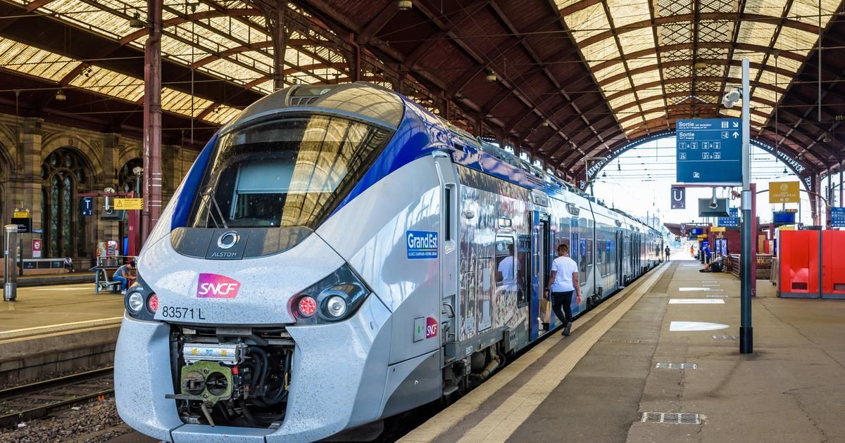 Orages : la SNCF interrompt la circulation de certaines lignes TER en Auvergne-Rhône-Alpes