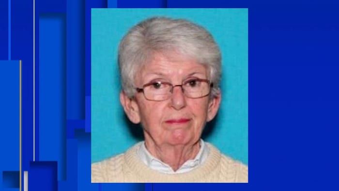 Body of missing 79-year-old Rochester woman found in Tuscola County