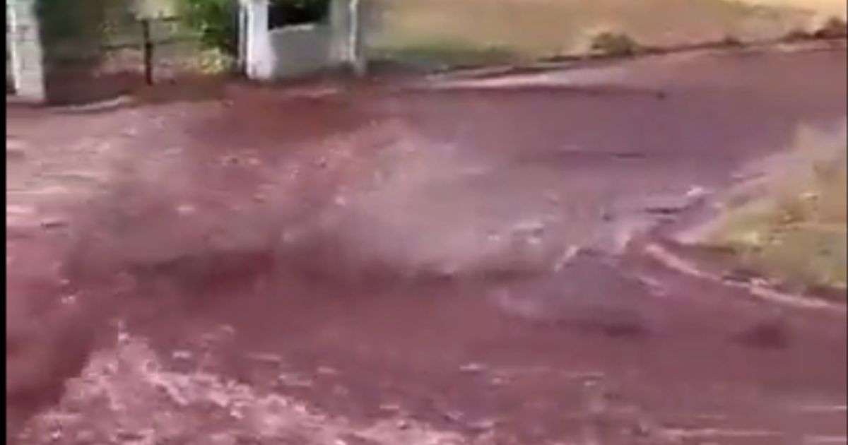 Portugal : un village inondé par un torrent de vin rouge