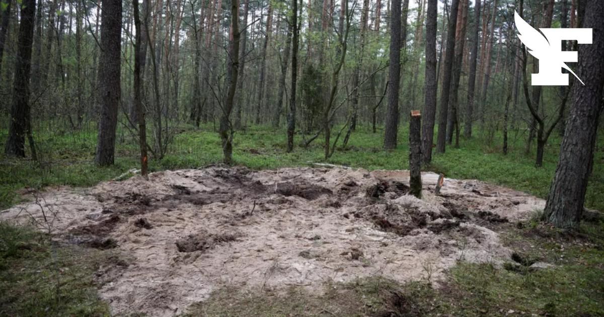 Tempête politique autour d'un "possible missile russe" trouvé au cœur de la Pologne