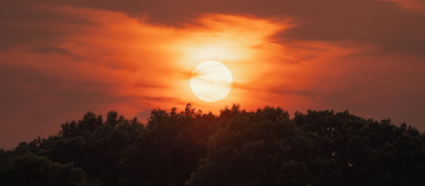 D.C.-area forecast: Storms probable today, then seasonal mid-June warmth