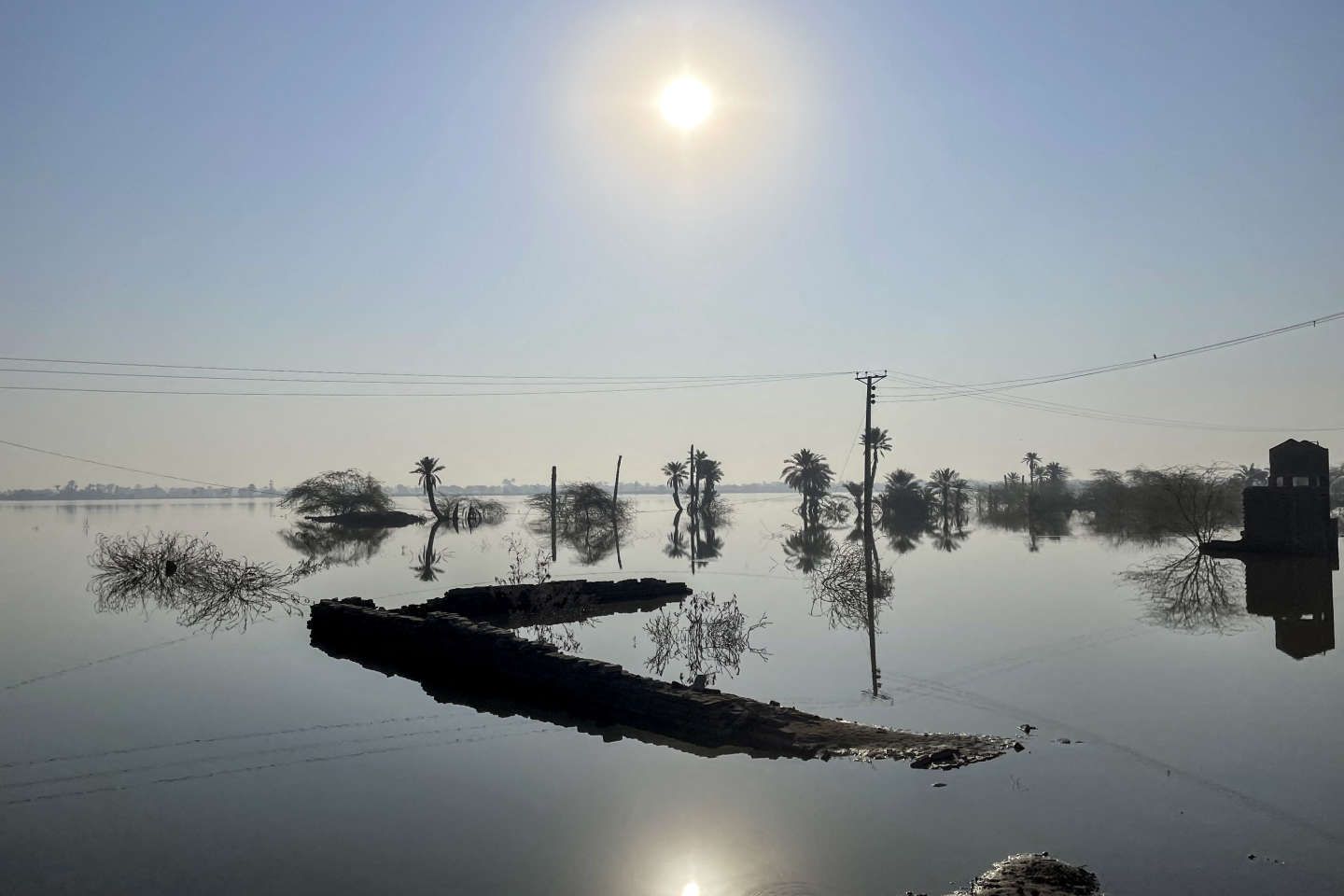 " Nous poussons la planète vers un avenir climatique où seule une partie de sa surface sera habitable "