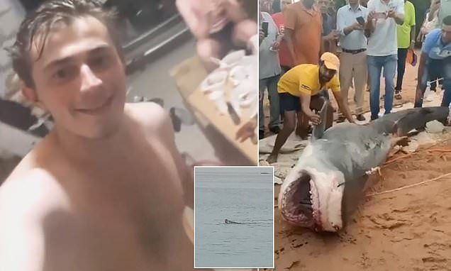 Body parts of Russian man eaten alive off Egypt beach found inside captured shark