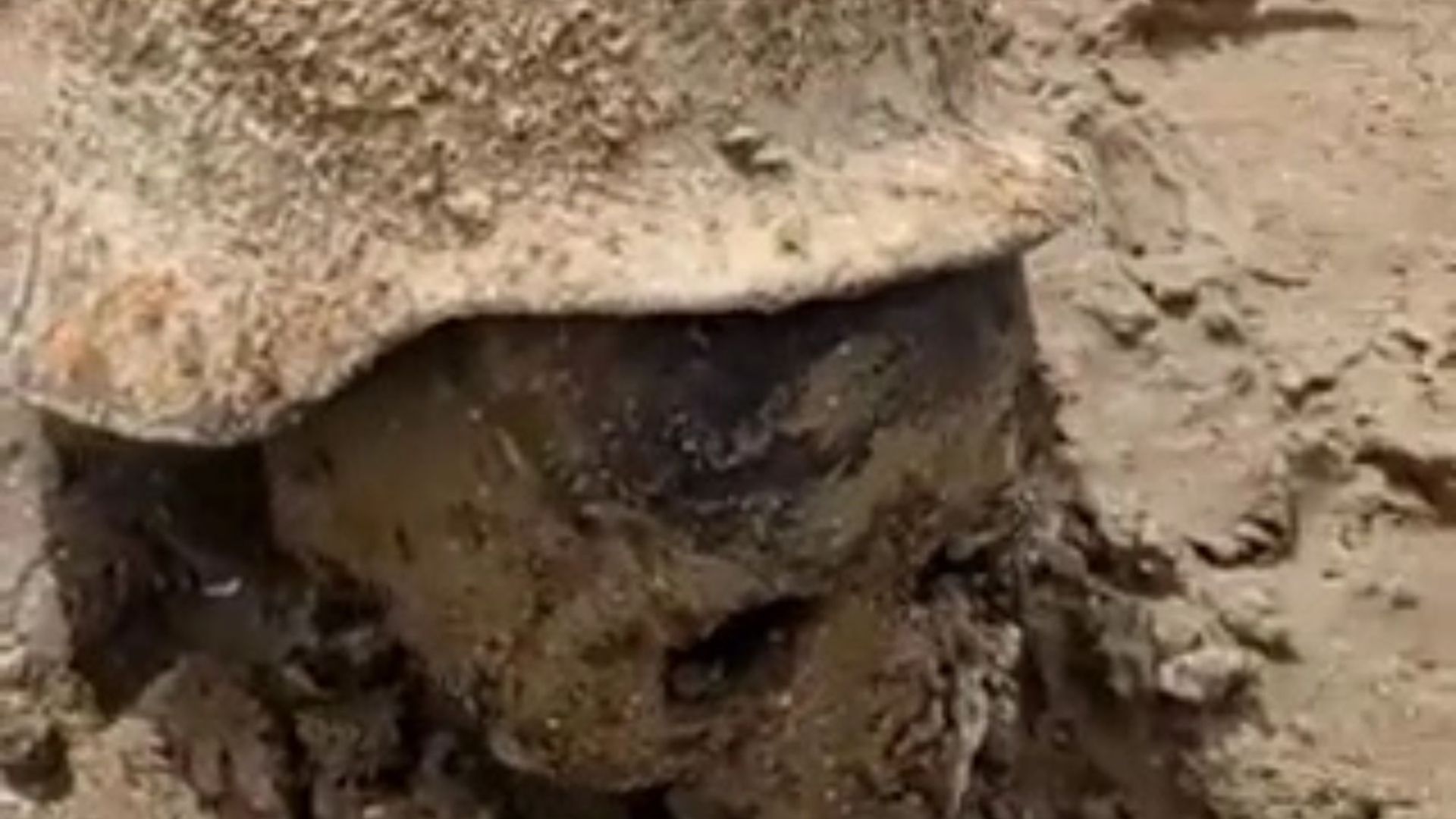 Remains of dozens of WW2 soldiers including skull in Nazi helmet ‘rise from the grave’ after Ukraine dam blast