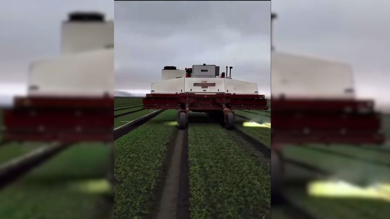 Intelligence artificielle : cette vidéo montre-t-elle un nouveau tracteur prometteur qui remplacera les pesticides ?