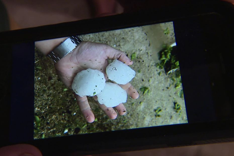 Orages : la grêle ravage des habitations à Meursanges, en Côte-d'Or, "on aurait dit que la maison allait tomber"