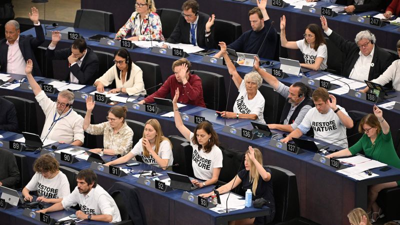 EU Parliament backs landmark law to restore Europe's nature