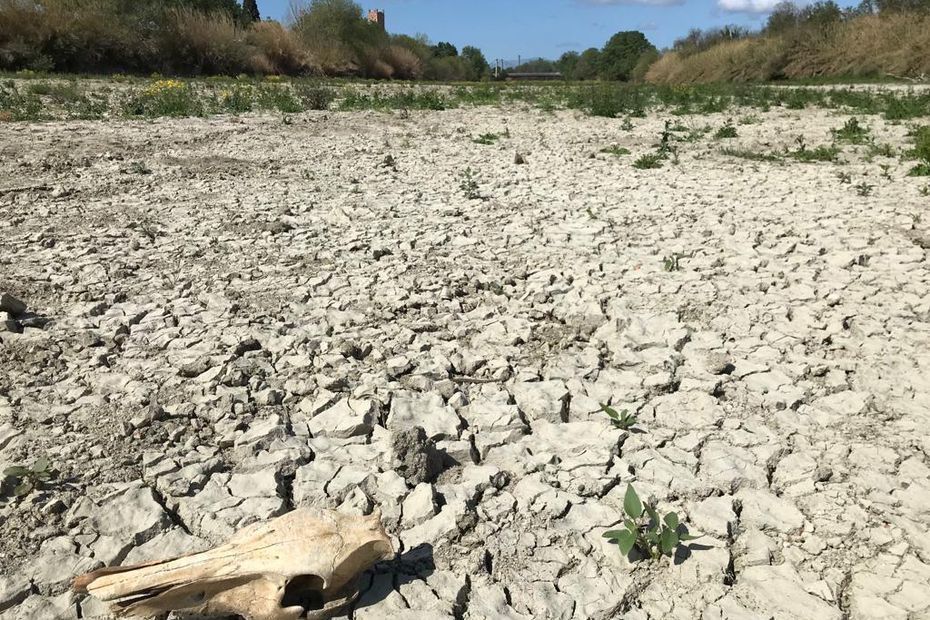 VIDEO. Sécheresse : ces images de drone qui montrent l’état inquiétant d'un fleuve devenu fantôme dans les Pyrénées-Orientales