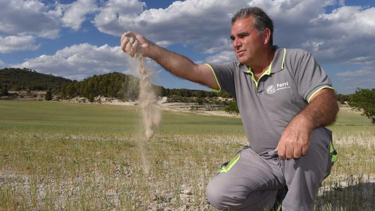 "Le sol n'a jamais été aussi sec" : à Alcoy, en Espagne, l'attente sans fin de la pluie