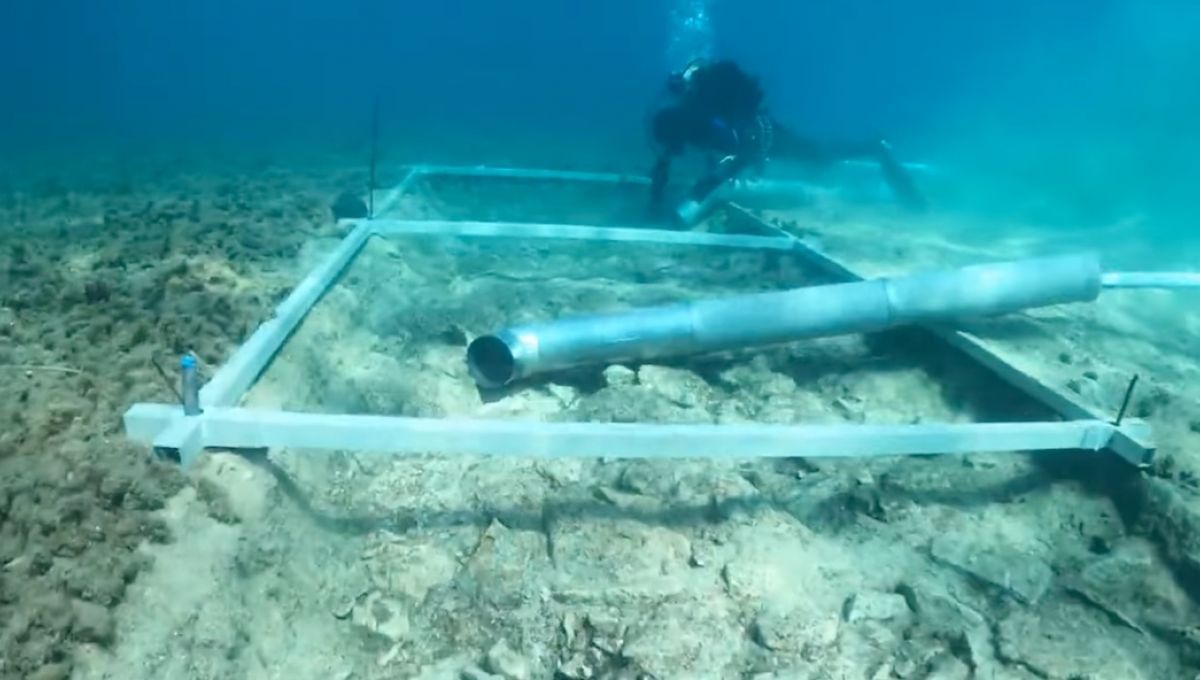 Une route en pierre découverte au fond de la Méditerranée, 7.000 ans après sa construction