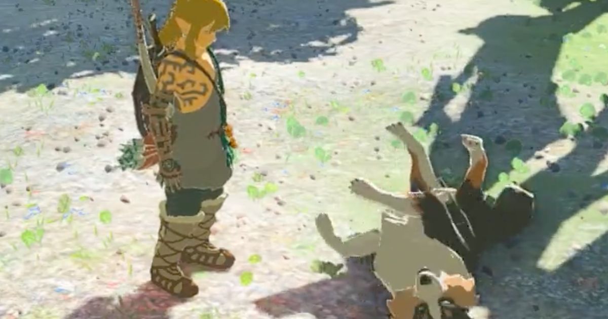 Players are not happy you cannot pet the dog in Zelda: Tears of the Kingdom