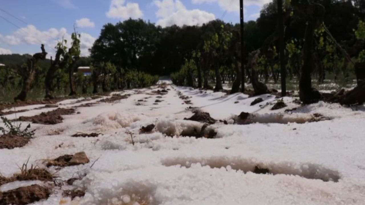 VIDÉO - Dans le Var, un orage de grêle impressionnant ravage des vignobles