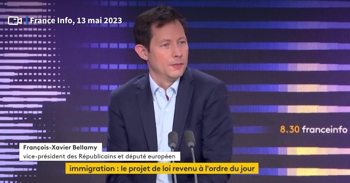 Immigration, environnement... Bellamy dénonce les eurodéputés Renaissance qui votent à l'opposé de la politique voulue par Macron