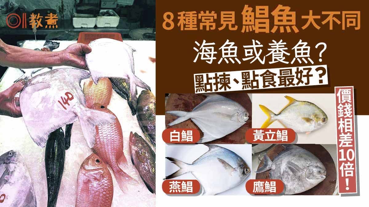 入廚貼士｜鷹鯧白鯧8種鯧魚海或養魚大不同 價錢差10倍點揀點煮?