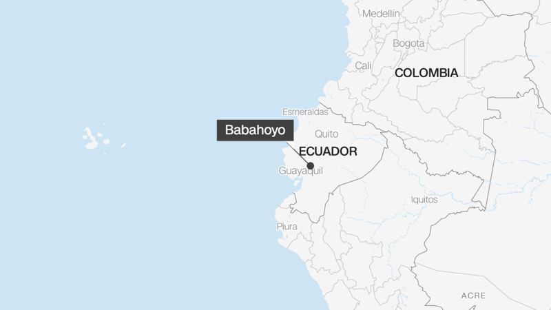 Ecuador: Woman presumed dead found alive in coffin at her wake