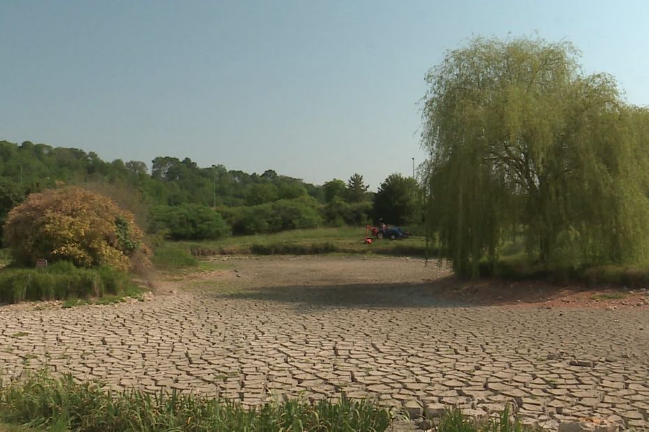 Arrosage des jardins et cultures, remplissage des piscines : les restrictions face à l'alerte sécheresse renforcée dans l'Eure