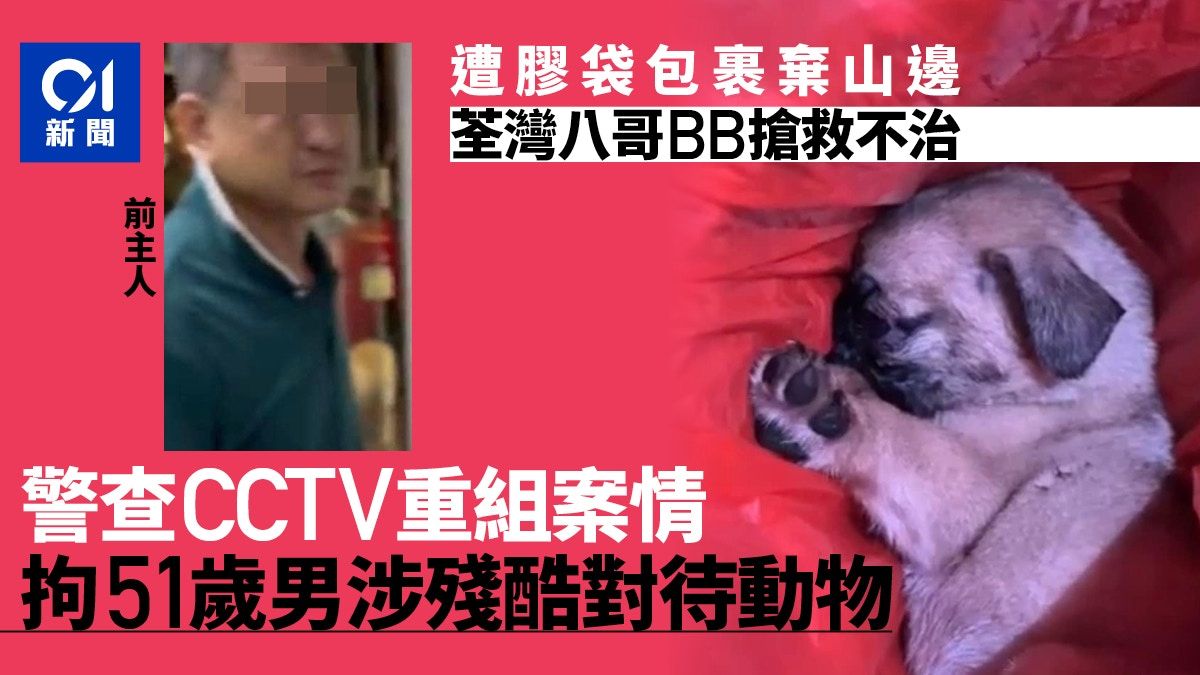 荃灣棄八哥案｜警查CCTV重組案情 51歲男涉殘酷對待動物被捕