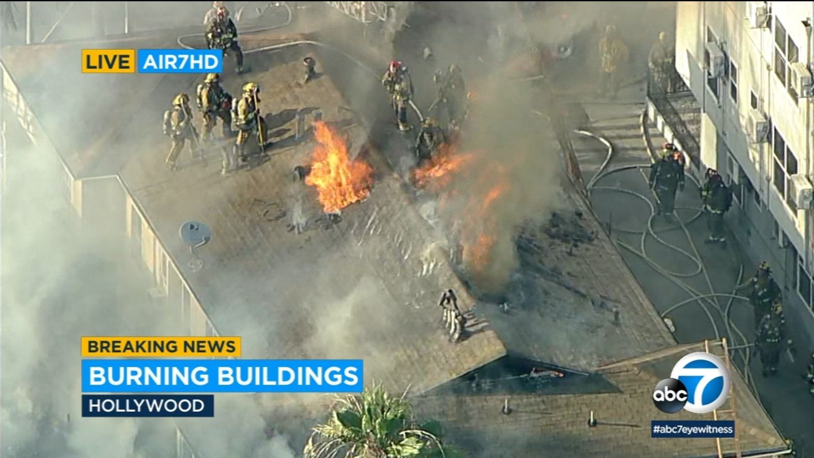 Woman rescued as firefighters battled large apartment fire in Hollywood