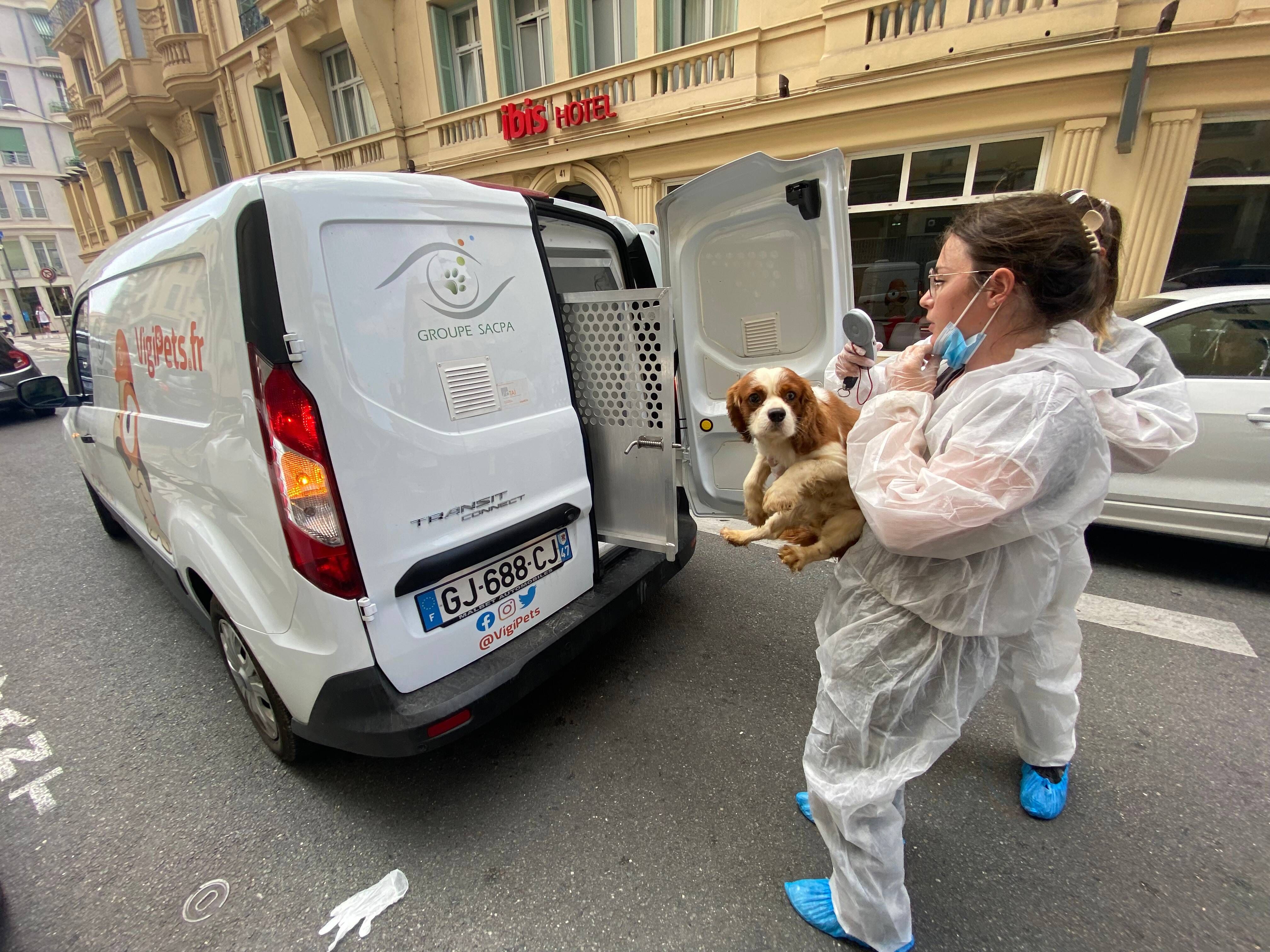 Les animaux saisis dans l'appartement de Nice ce mercredi ont été placés, les associations lancent une cagnotte