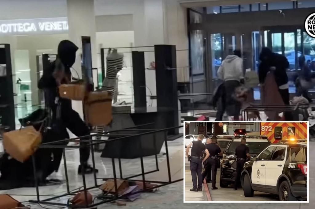 Mob of almost 50 steals up to $100,000 of merchandise from LA Nordstrom during broad daylight robbery