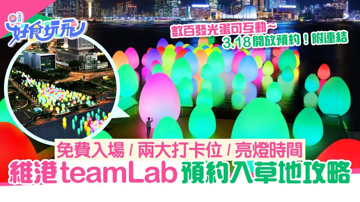 維港teamLab發光巨蛋近距離打卡預約攻略 睇亮燈時間及預約連結