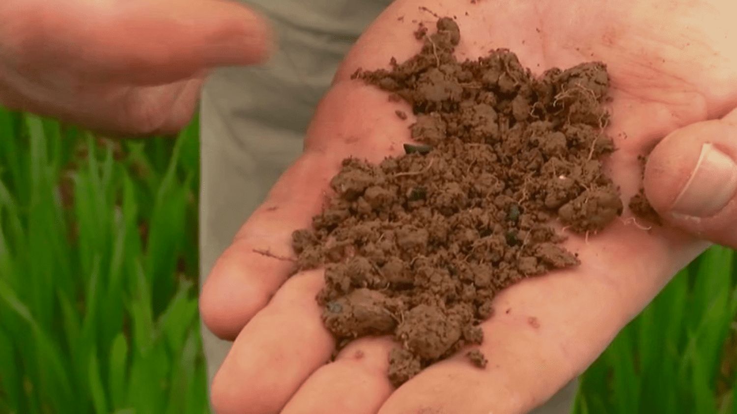 Environnement : le biochar, un charbon vert pour sauver la planète ?