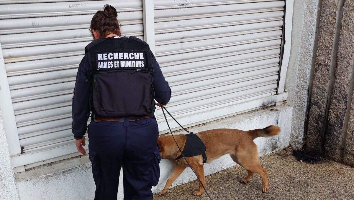 Valence : pas de nouveaux tirs ce dimanche, opération visibilité des CRS