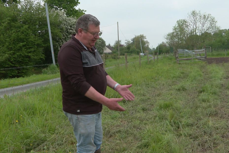 En Normandie, les pluies du printemps ne font pas que des heureux chez les agriculteurs