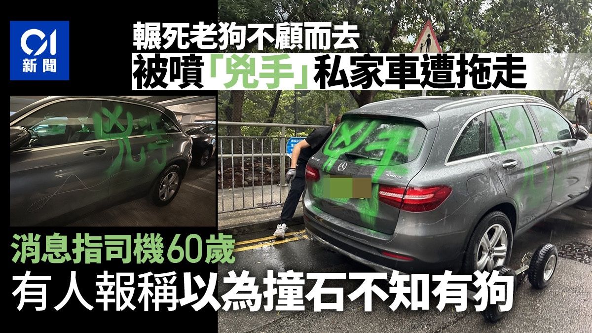 輾斃唐狗｜消息指司機以為撞石 不想追究毀車 警查兩案籲勿私了