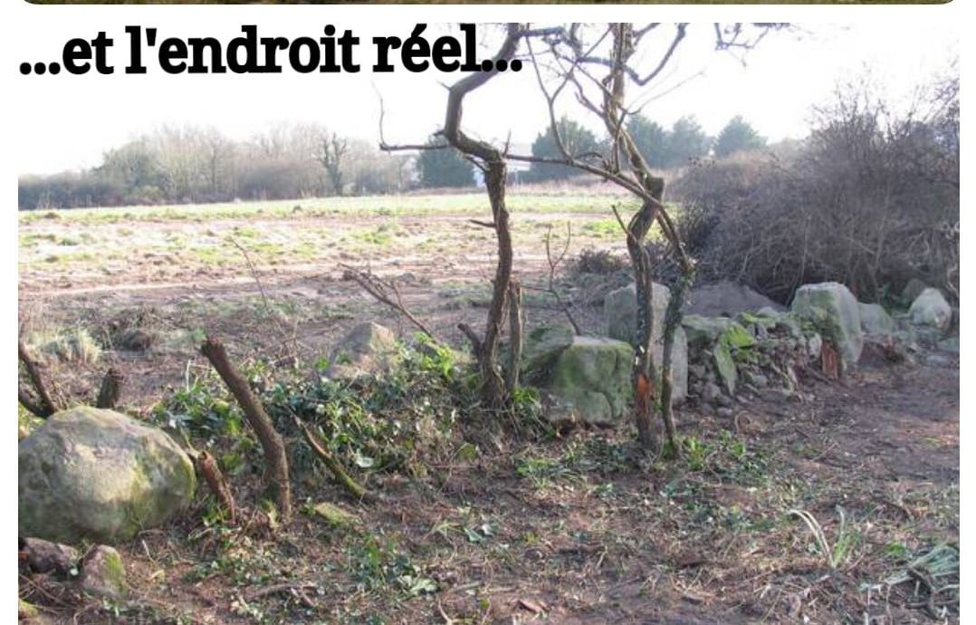 Oui, cette photo virale montre bien les menhirs de petite taille détruits à Carnac