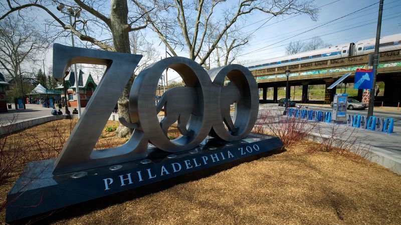 Philadelphia Zoo officials say dye may have killed its five meerkats