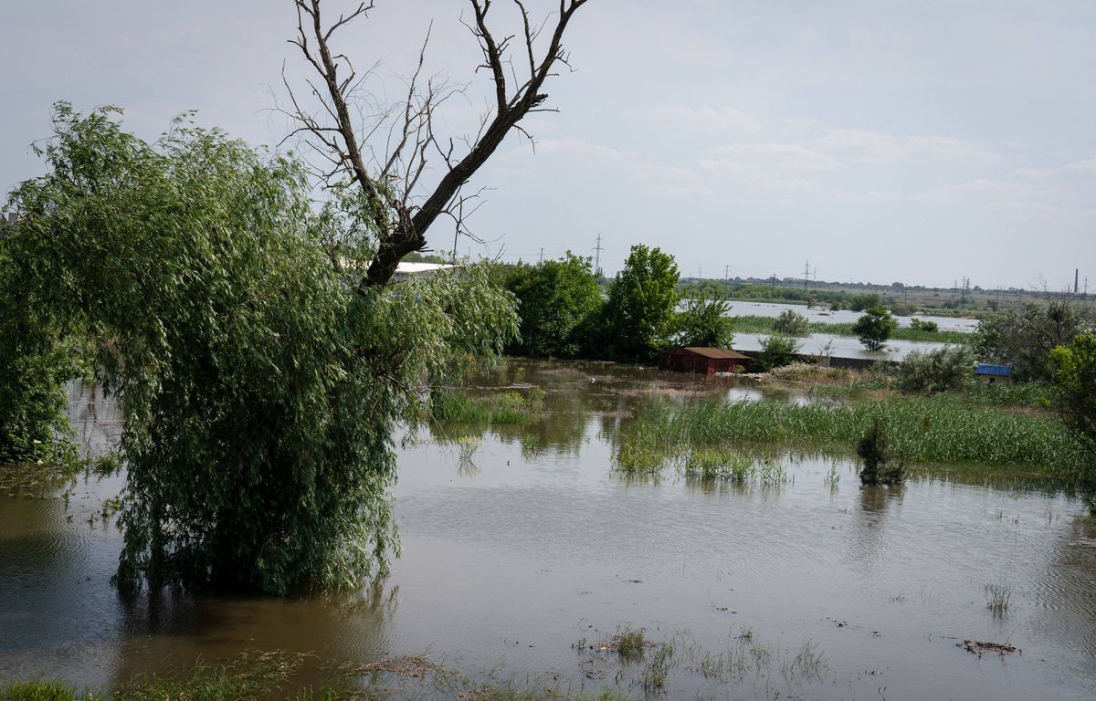 En Ukraine, les crânes mis au jour par les inondation sont-ils ceux de militaires nazis ?