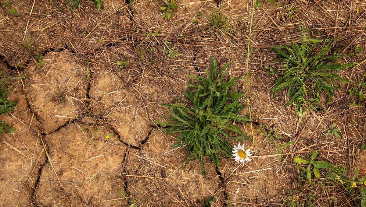 Sécheresse en Gironde : premières interdictions de laver les voitures ou arroser les jardins