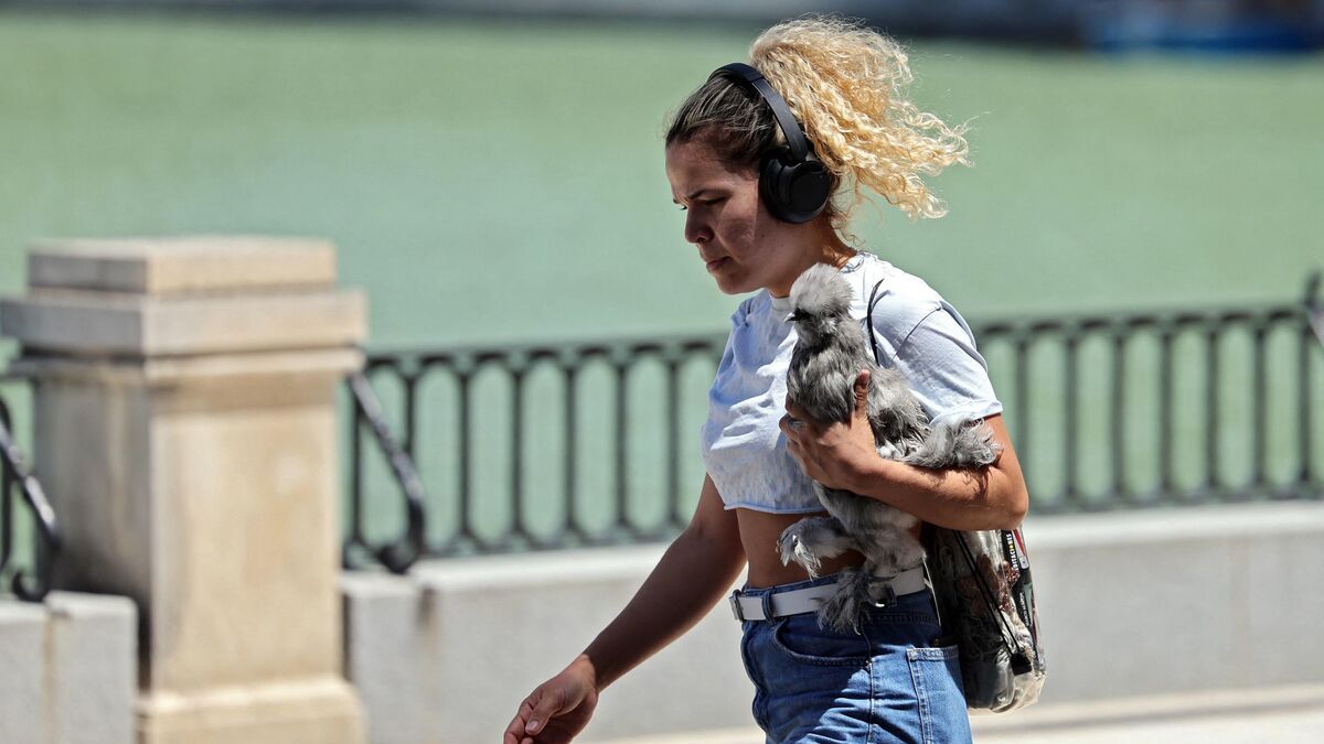 Climat : a-t-il vraiment fait 60 degrés en Espagne, comme l’affirme Sandrine Rousseau ?